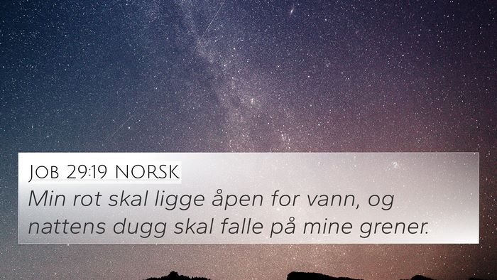 Job 29:19 NORSK Bible Verse Image