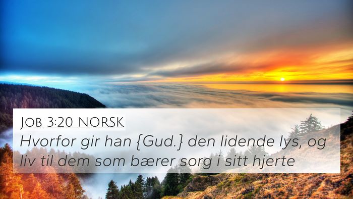 Job 3:20 NORSK Bible Verse Image