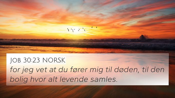 Job 30:23 NORSK Bible Verse Image