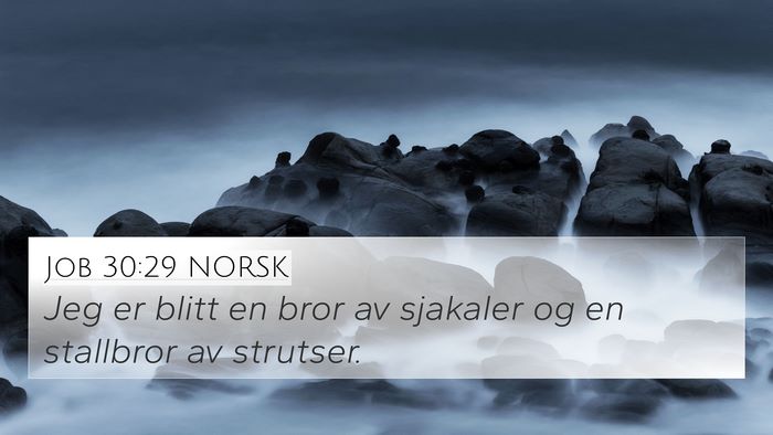 Job 30:29 NORSK Bible Verse Image