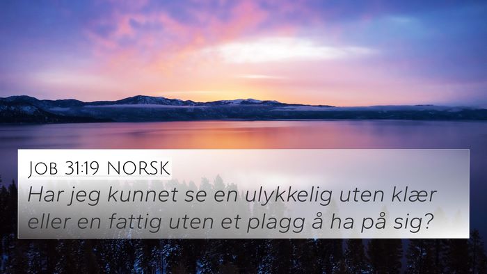 Job 31:19 NORSK Bible Verse Image