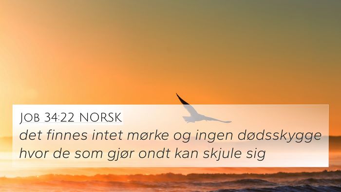 Job 34:22 NORSK Bible Verse Image