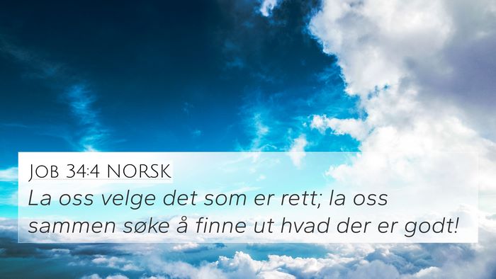 Job 34:4 NORSK Bible Verse Image