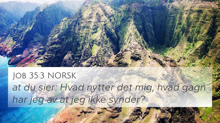 Job 35:3 NORSK Bible Verse Image