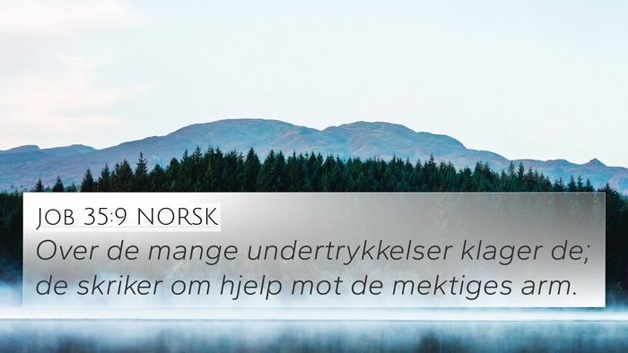Job 35:9 NORSK Bible Verse Image