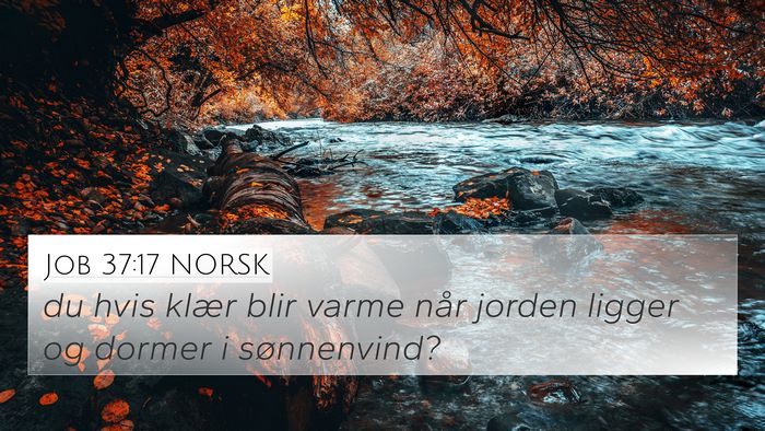 Job 37:17 NORSK Bible Verse Image