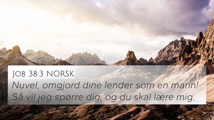 Job 38:3 NORSK Bible Verse Image
