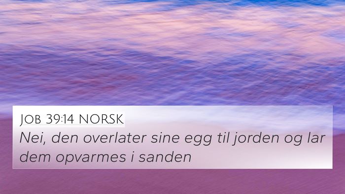 Job 39:14 NORSK Bible Verse Image