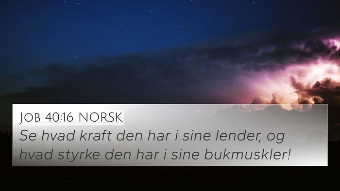 Job 40:16 NORSK Bible Verse Image