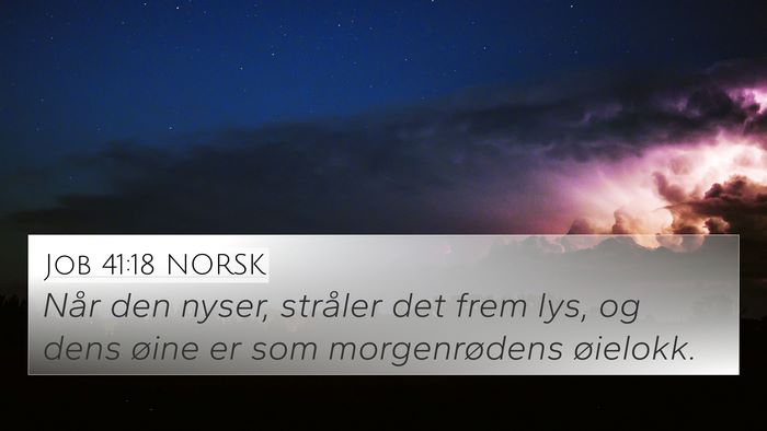 Job 41:18 NORSK Bible Verse Image