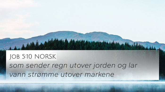Job 5:10 NORSK Bible Verse Image