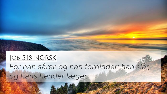 Job 5:18 NORSK Bible Verse Image