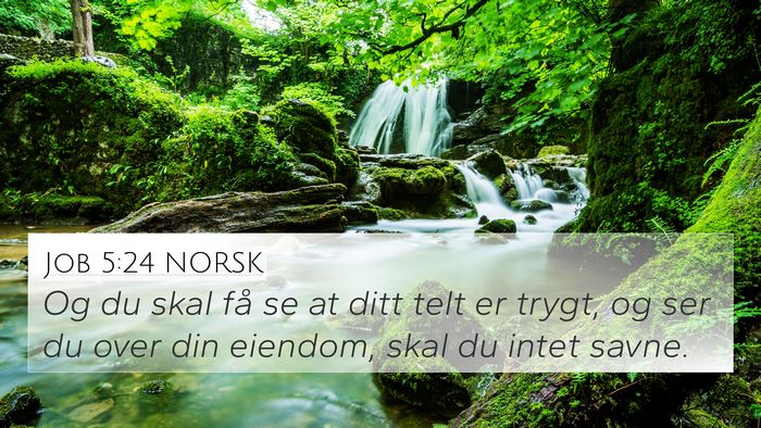 Job 5:24 NORSK Bible Verse Image