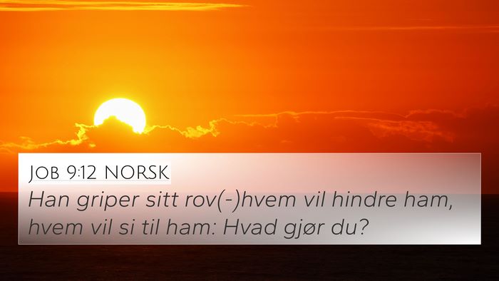 Job 9:12 NORSK Bible Verse Image