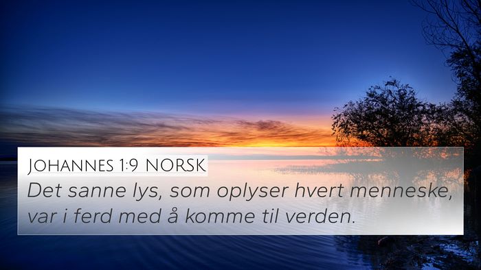 Johannes 1:9 NORSK Bible Verse Image