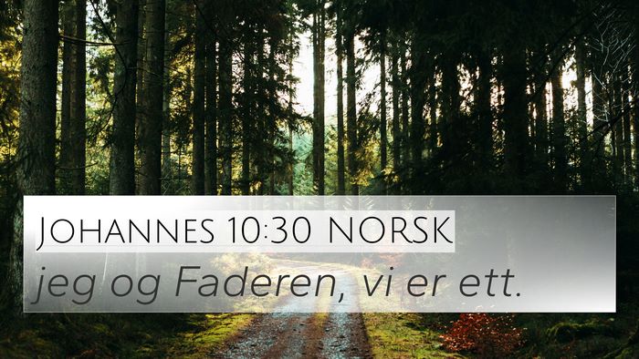 Johannes 10:30 NORSK Bible Verse Image