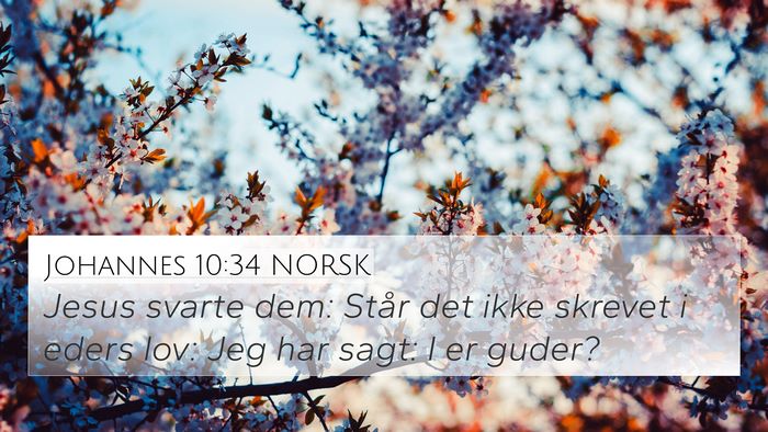 Johannes 10:34 NORSK Bible Verse Image