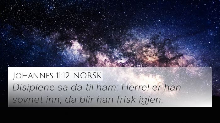 Johannes 11:12 NORSK 4K Wallpaper - Disiplene sa da til ham: Herre! er han sovnet - 4K Wallpaper Bible Verse