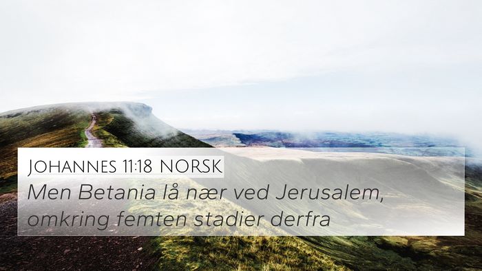 Johannes 11:18 NORSK Bible Verse Image