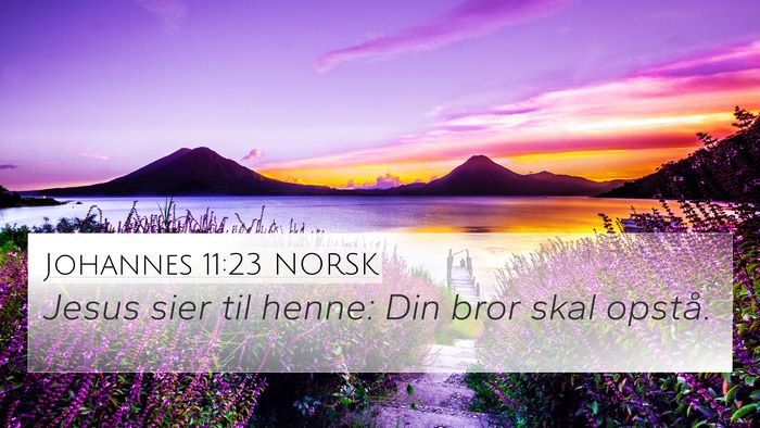 Johannes 11:23 NORSK Bible Verse Image