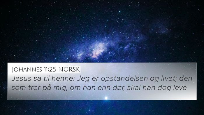 Johannes 11:25 NORSK Bible Verse Image