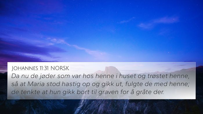 Johannes 11:31 NORSK Bible Verse Image