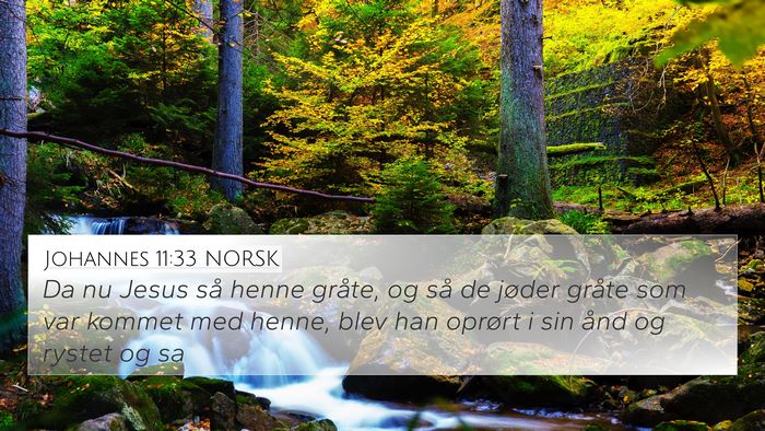 Johannes 11:33 NORSK Bible Verse Image