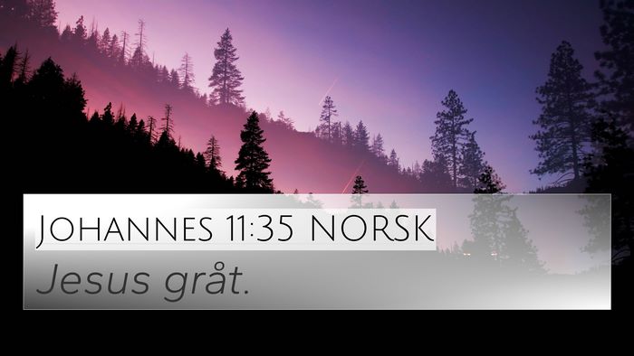 Johannes 11:35 NORSK Bible Verse Image
