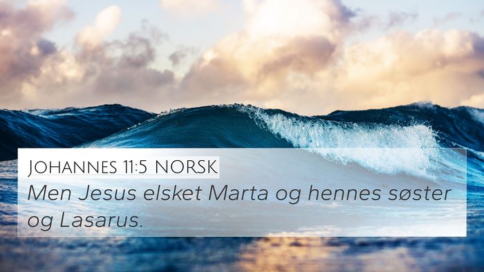 Johannes 11:5 NORSK Bible Verse Image