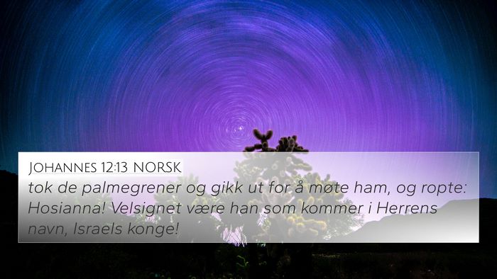 Johannes 12:13 NORSK Bible Verse Image