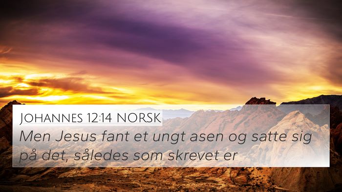 Johannes 12:14 NORSK Bible Verse Image