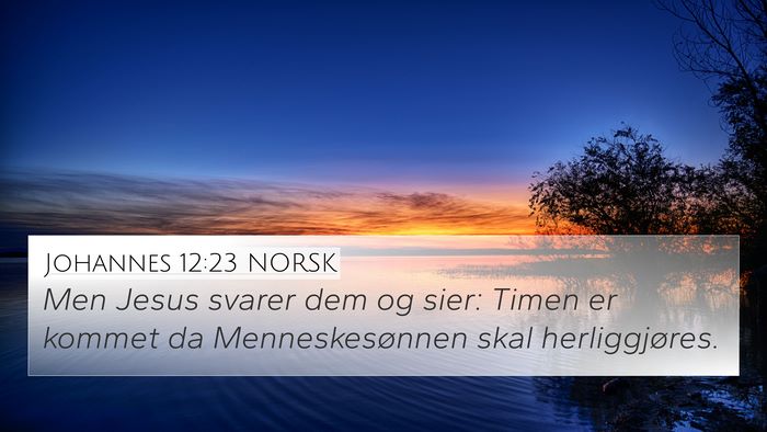 Johannes 12:23 NORSK Bible Verse Image