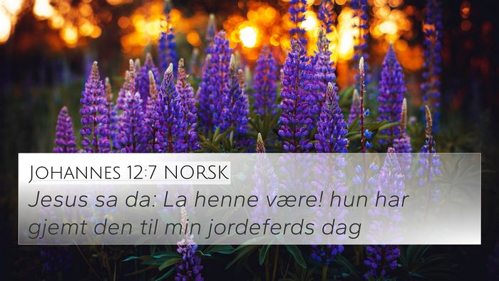 Johannes 12:7 NORSK Bible Verse Image