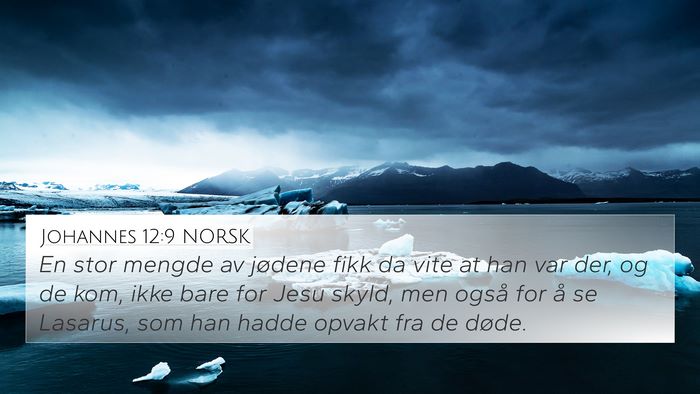 Johannes 12:9 NORSK Bible Verse Image