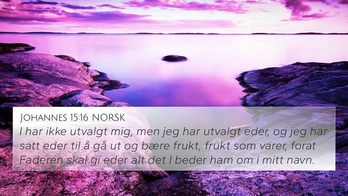 Johannes 15:16 NORSK Bible Verse Image