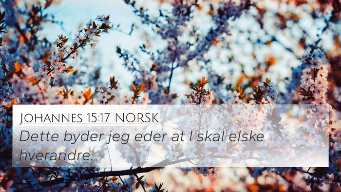Johannes 15:17 NORSK Bible Verse Image