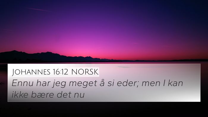 Johannes 16:12 NORSK Bible Verse Image
