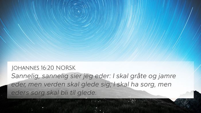Johannes 16:20 NORSK Bible Verse Image