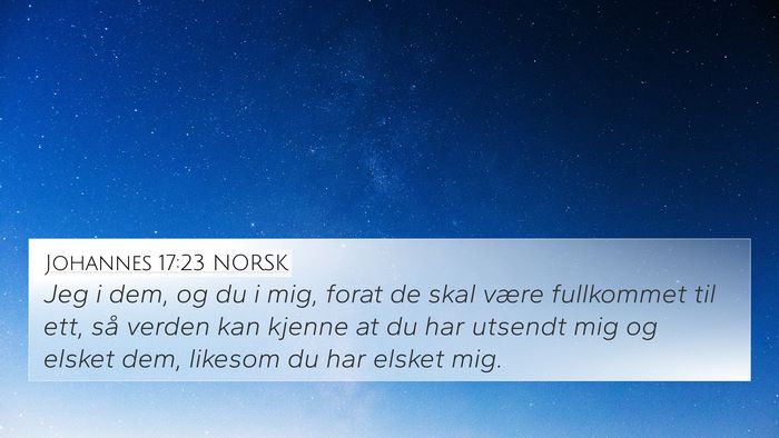 Johannes 17:23 NORSK Bible Verse Image