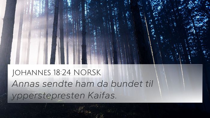 Johannes 18:24 NORSK Bible Verse Image