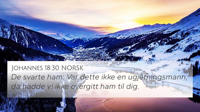 Johannes 18:30 NORSK Bible Verse Image