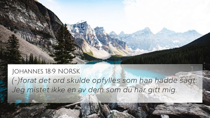 Johannes 18:9 NORSK Bible Verse Image
