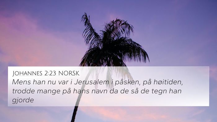 Johannes 2:23 NORSK Bible Verse Image