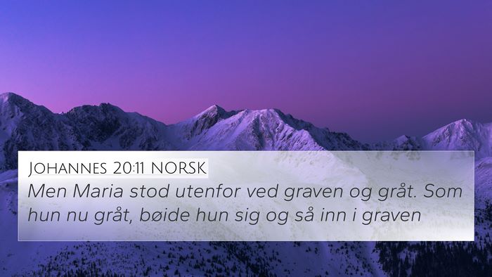 Johannes 20:11 NORSK Bible Verse Image