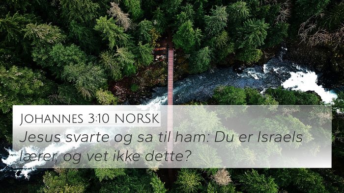 Johannes 3:10 NORSK Bible Verse Image