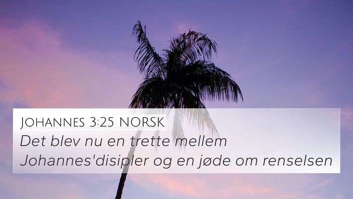 Johannes 3:25 NORSK Bible Verse Image