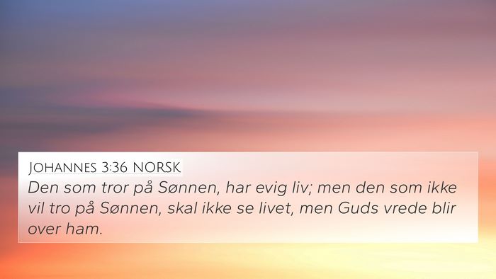 Johannes 3:36 NORSK Bible Verse Image