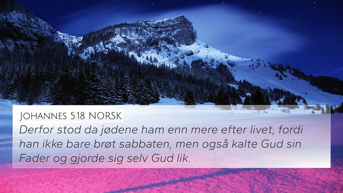 Johannes 5:18 NORSK Bible Verse Image