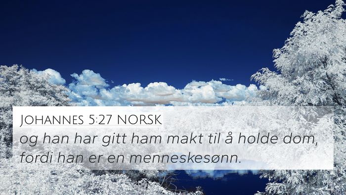 Johannes 5:27 NORSK Bible Verse Image