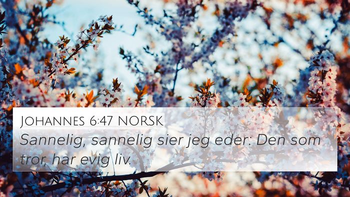 Johannes 6:47 NORSK Bible Verse Image